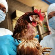 4CF68581-D428-4F87-AC2B-F007F12686FF