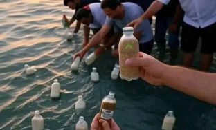 6b463f2e-48f4-453a-bea9-f8811c98df87