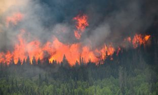 FILE PHOTO: Flames reach upwards along the edge of a wildfire as seen from a Canadian Forces helicopter surveying the area near Mistissini, Quebec, Canada June 12, 2023. Cpl Marc-Andre Leclerc/Canadian Forces/Handout via REUTERS/File Photo