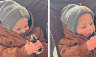 Screenshot-2025-03-30-163047-780x439