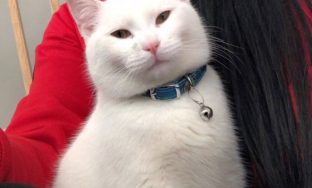 att.JIz5GwavT712YpQ5q1f6D0svfqCUB4xSfT2fTYn0IAw