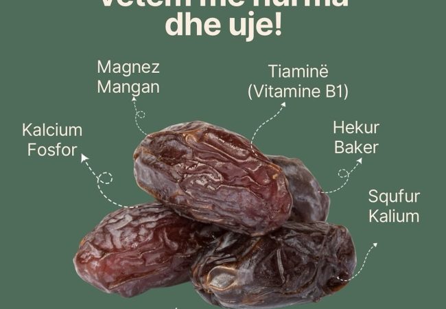 ce1893f3-d9dc-4053-84bd-38f4945477f6